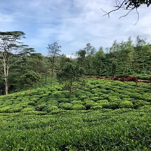 Parisons Plantation Experiences By Abad Resort Mananthavady